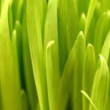 网络ddos攻击软件