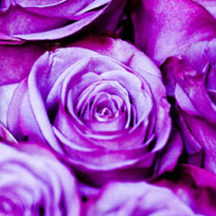 快速数据索引的网站攻击手段